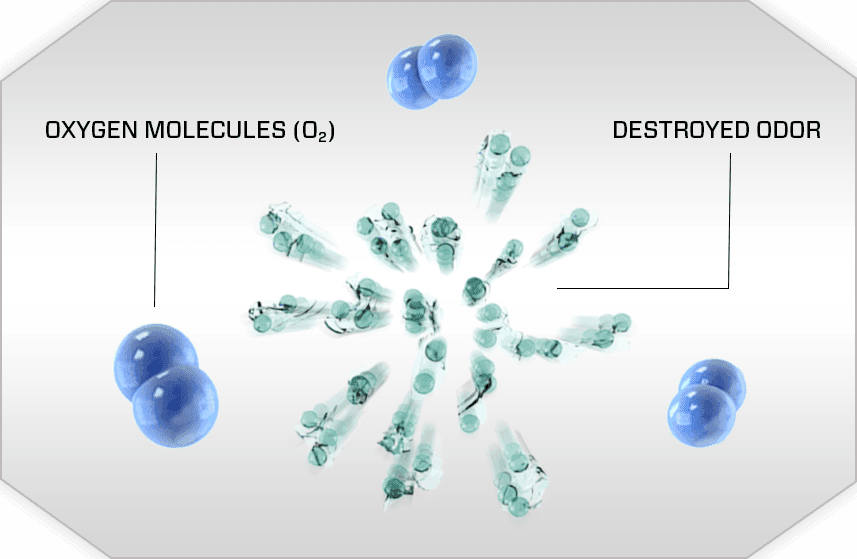 Ozone Generator