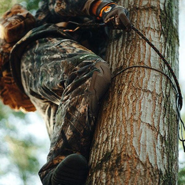 SADDLE HUNTER CLIMBING TREE