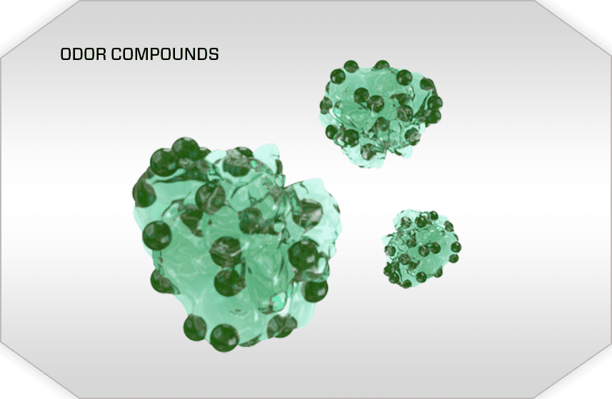 Ozone Generator