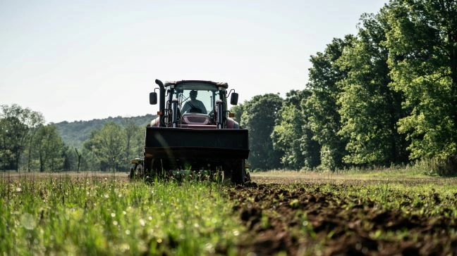 The Who, What, When, And Why’s Of Summer Food Plots