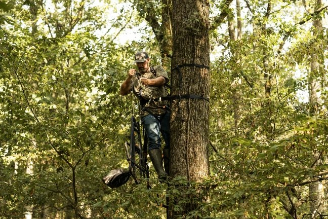 How To Determine The Best Tree Stand Placement When Bowhunting Deer