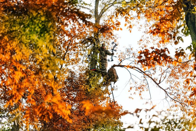 Last Minute Treestand Maintenance And Placement: Maximizing Success Before And During The Season