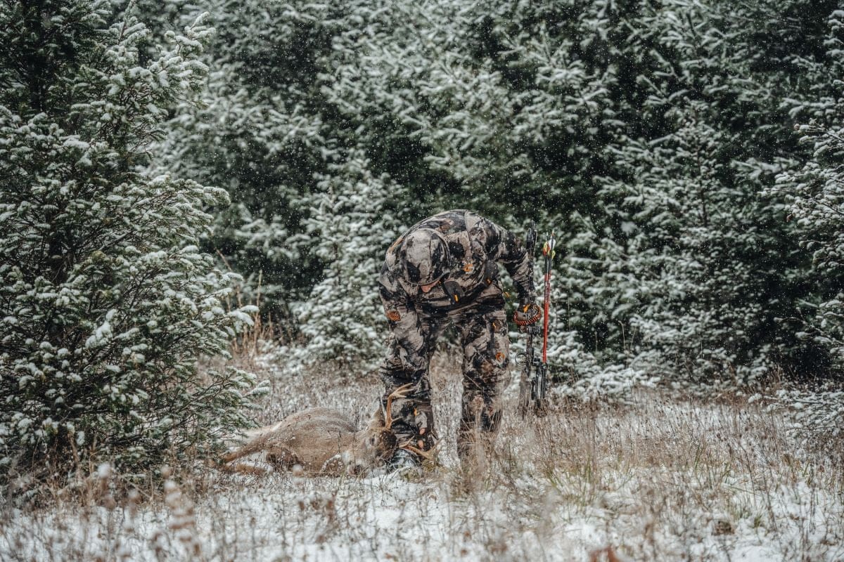 No Food, Hunt Buck Beds For Late Season Success