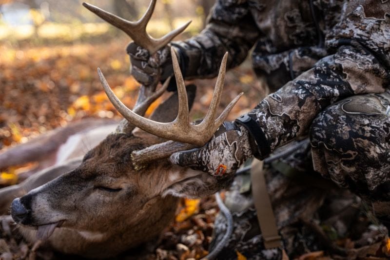 How To Outsmart Mature Bucks